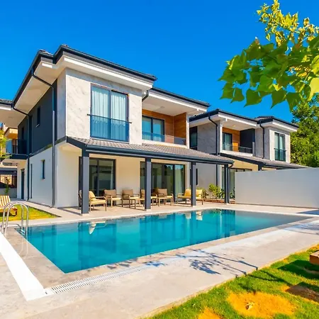 Vira Premium גוג'ק