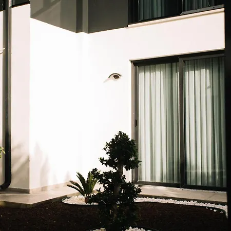 Vira Premium * גוג'ק