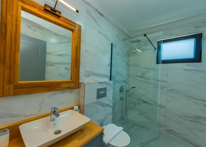 Vira Premium Вилла *